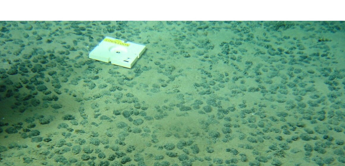 Le submersible Nautile explore les profondeurs abyssales du Pacifique lors de la campagne Nodinaut menée par l’Ifremer (mai-juin 2004). Objectif : étudier les zones de permis minier françaises, où reposent les précieux nodules polymétalliques, riches en manganèse, cobalt et nickel. Photo : Ifremer