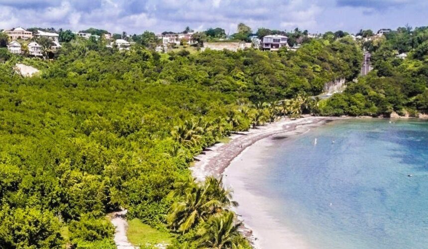 Le Gosier, vue aérienne de la plage des salines, mangrove à l'arrière-plan