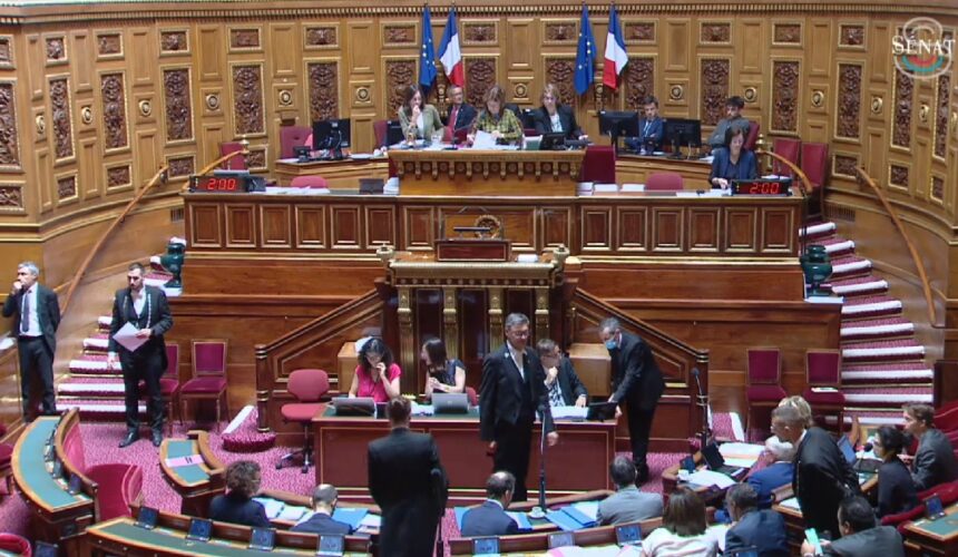 Séance publique du Sénat, jeudi 12 juin, d’adoption de la proposition de loi qui reconnait la responsabilité de l’État dans le scandale du chlordécone. Photo : Capture écran Sénat