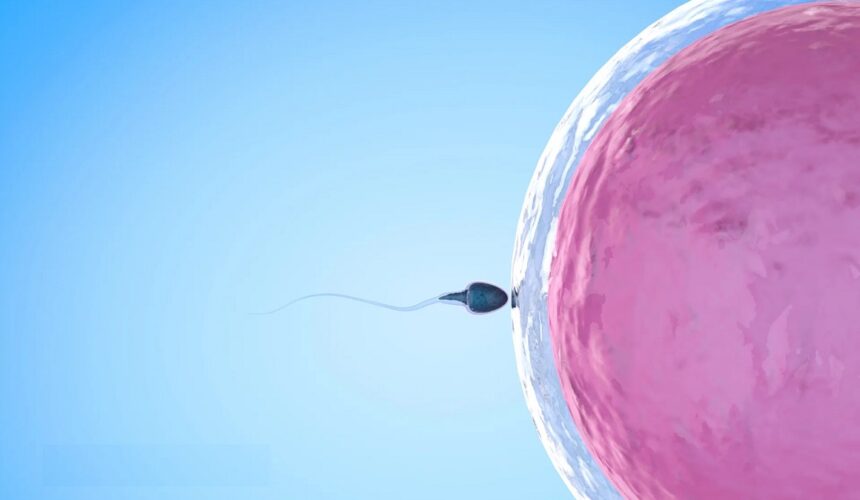 Photo d'illustration natalité