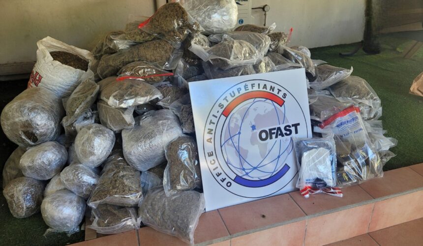 Saisie de stupéfiants dans le sud de la Guadeloupe, novembre 2025. Les ballots de cannabis et de cocaïne, ici disposés après leur interception, provenaient d'une filière active entre la Dominique et la Guadeloupe. Photo : Police nationale de Guadeloupe