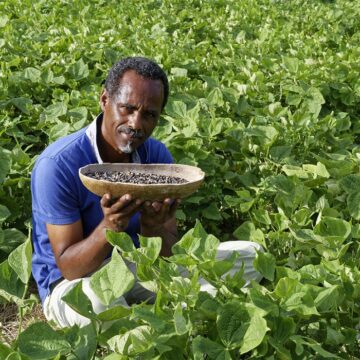 Dr Henry Joseph, Dr en pharmacognosie, directeur de Phytobokaz. Photo : Henry Joseph