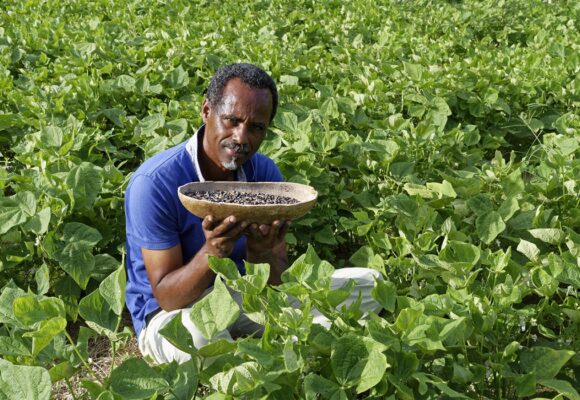 Dr Henry Joseph, Dr en pharmacognosie, directeur de Phytobokaz. Photo : Henry Joseph