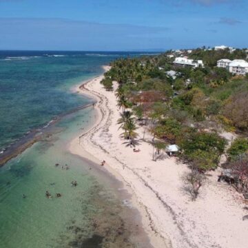 Vue aérienne de la plage de l'autre bord au Moule. Photo: DR