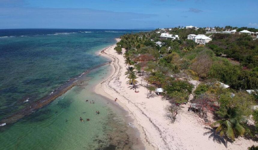 Vue aérienne de la plage de l'autre bord au Moule. Photo: DR